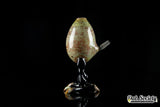 Rone Glass Dino Egg with Bird Feet